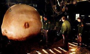 撕裂人 在线观看,惊悚悬疑,揭秘人性深渊 第1张 撕裂人 在线观看,惊悚悬疑,揭秘人性深渊 第1张