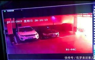 上海爆料视频在线观看,揭秘城市生活背后真相 第2张 上海爆料视频在线观看,揭秘城市生活背后真相 第2张